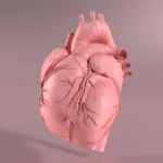 Artigo do blog Pan Drs.: De forma inédita no Brasil, estudo detalha os percentis do risco cardiovascular por sexo e idade