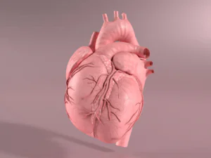 Artigo do Blog Pan Drs.: De forma inédita no Brasil, estudo detalha os percentis do risco cardiovascular por sexo e idade