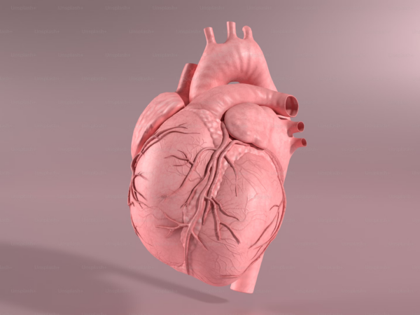 Risco cardiovascular